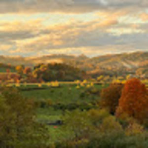 Meet your Posher, Christy